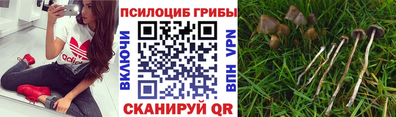 Галлюциногенные грибы мухоморы блэк спрут как зайти Чердынь